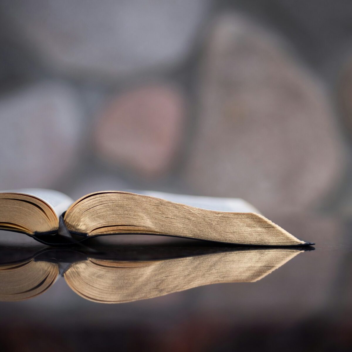 King James Bible KJV, king James Version